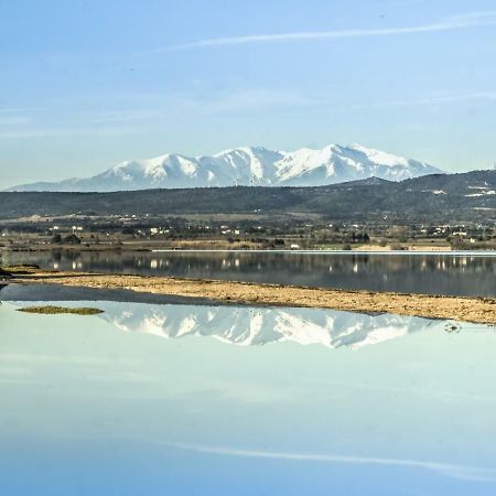 Appartement Le Flamant Rose Пор-ла-Нувель Екстер'єр фото